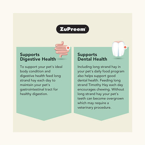 Zupreem Nature's Promise Western Timothy Dry Hay for Small Animals