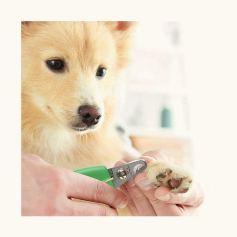 Wahl Curved Nail Clipper for Pets