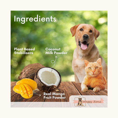 Waggy Zone Mangifera Ice Cream for Dogs
