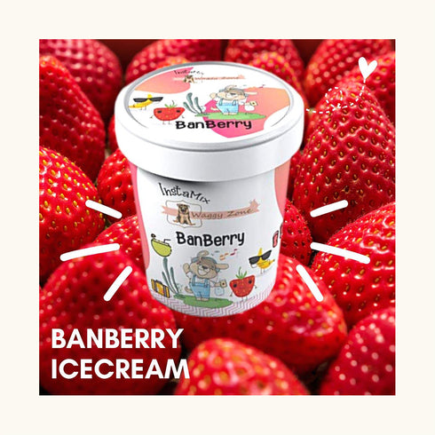Waggy Zone Banberry Ice Cream for Dogs
