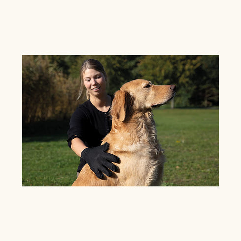 Trixie Fur Care Massage and Shine Gloves for Pets (16x24cm)