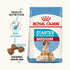 Royal Canin Medium Starter Dry Food for Medium Breed Dog and Puppies