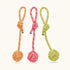 Trixie Playing Rope with Woven in Ball Toy for Dogs