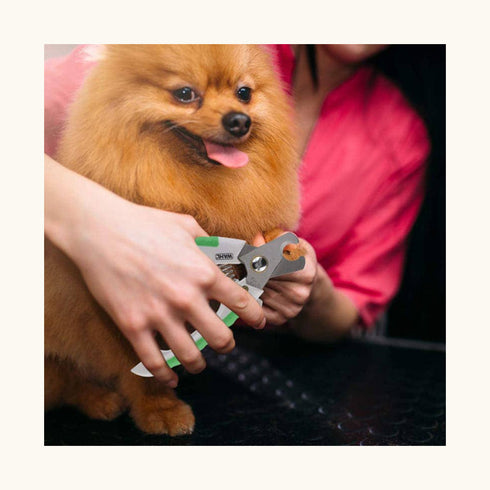 Wahl Nail Clipper for Pets (Large)