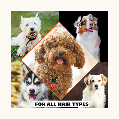 Wahl Flea & Tick Eucalyptus Cedar Shampoo for Dogs