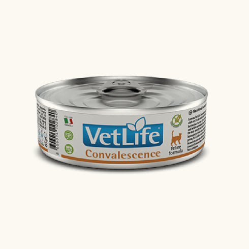 Farmina Vet Life Convalescence Feline Formula Cat Wet Food, 85 Gm