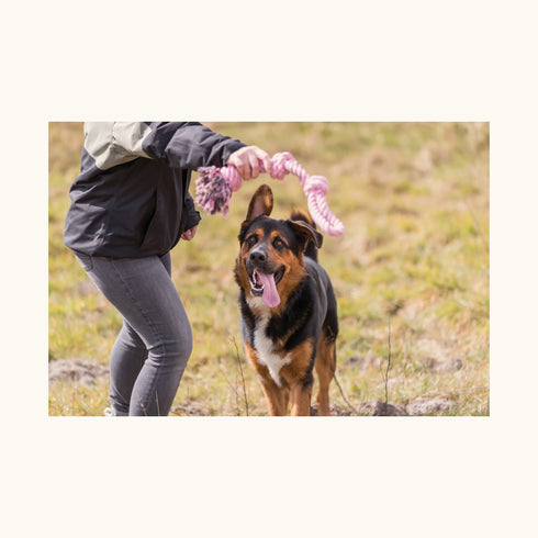 Trixie Playing Rope, Double Dog Toy