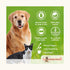 Waggy Zone Mangifera Ice Cream for Dogs