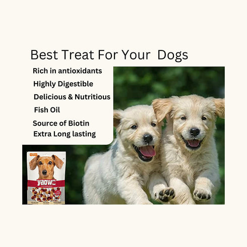 Gnawlers Yaowo Braid Chicken And Liver For Puppy Dog Treats (2.5 inch)