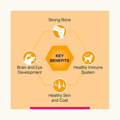 Canine Creek Chicken Ultra Premium Dry Puppy Food