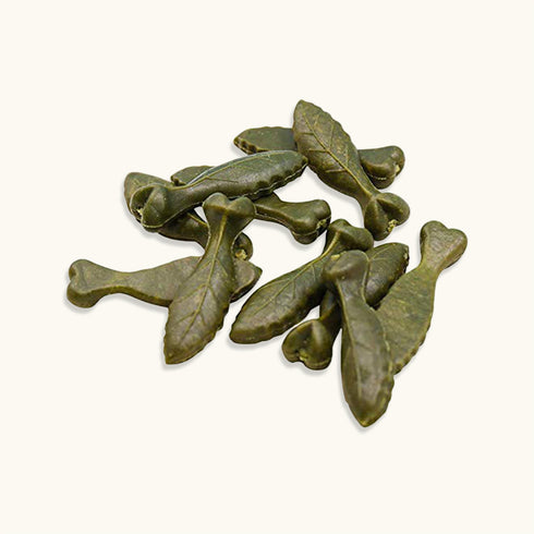 Gnawlers Dentalight Dental Bone Dog Treats