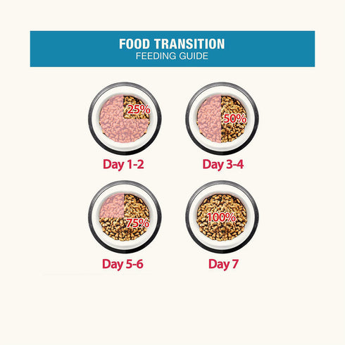 Me-O Ocean Fish Kitten Dry Food