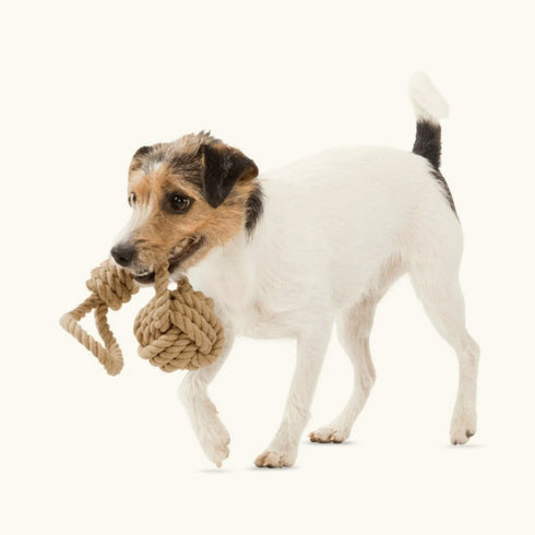 Trixie Be Nordic Rope with Woven in Ball Toy for Dogs