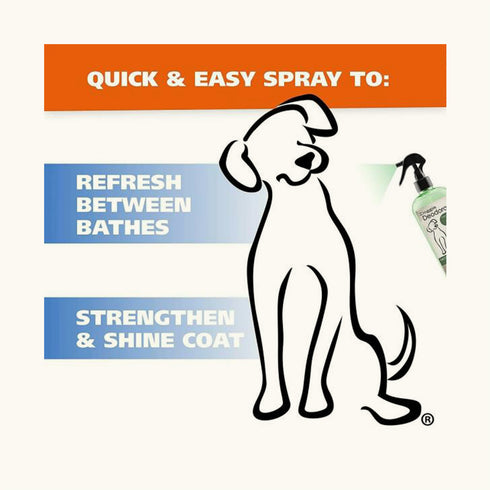 Wahl Doggie Eucalyptus & Spearmint Deodorant for Dogs