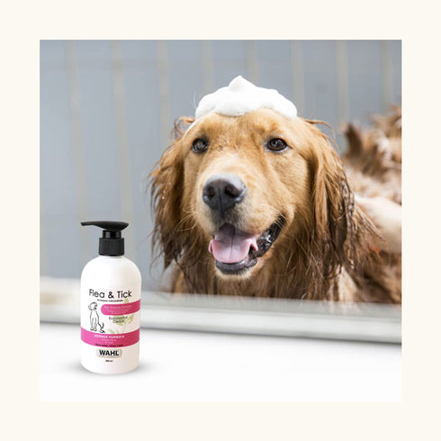 Wahl Flea & Tick Eucalyptus Cedar Shampoo for Dogs