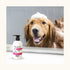 Wahl Flea & Tick Eucalyptus Cedar Shampoo for Dogs