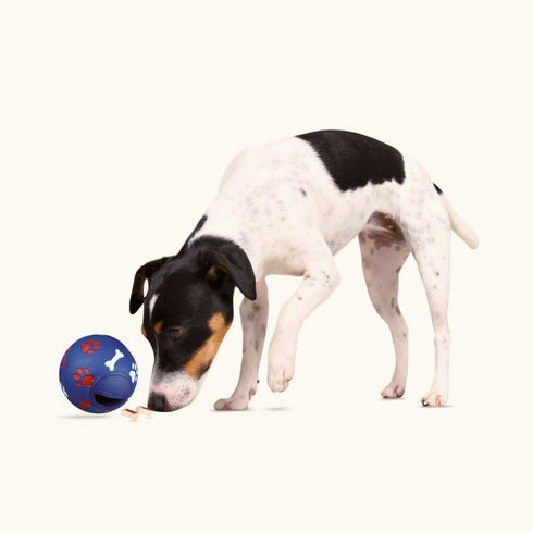 Trixie Snack Ball Interactive Natural Rubber Toy for Dogs (Large)