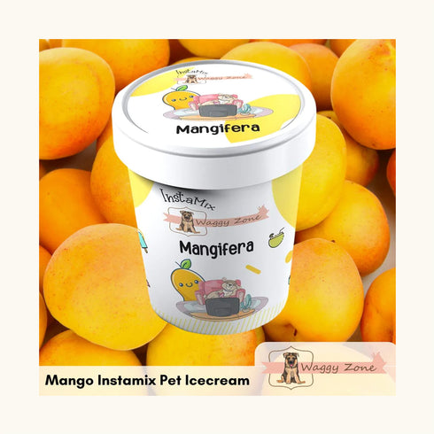 Waggy Zone Mangifera Ice Cream for Dogs