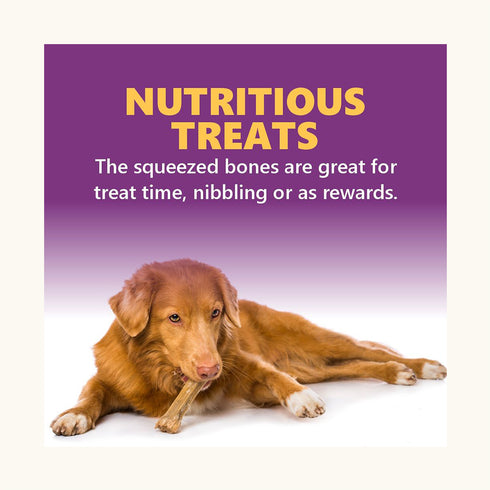 Gnawlers Puppy Snack V-Lucky Bone with Chicken Flavour Dog Treats