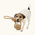 Trixie Be Nordic Rope with Woven in Ball Toy for Dogs
