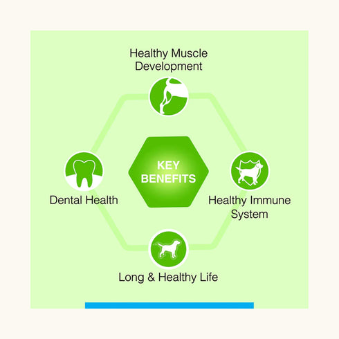 Canine Creek Ultra Premium Adult Dry Dog Food