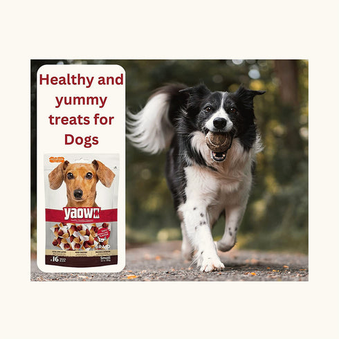 Gnawlers Yaowo Braid Chicken And Liver For Puppy Dog Treats (2.5 inch)