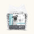 M-Pets Diapers For Male Dogs