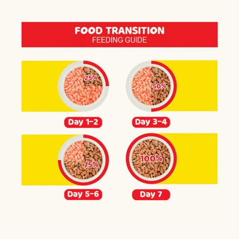 Me-O Salmon Adult Cat Dry Food