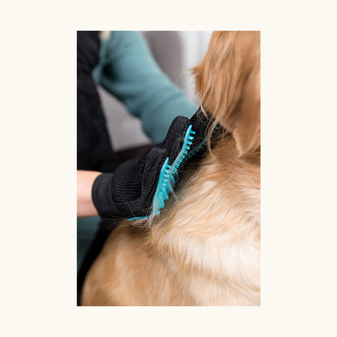 Trixie Fur Care Massage and Shine Gloves for Pets (16x24cm)