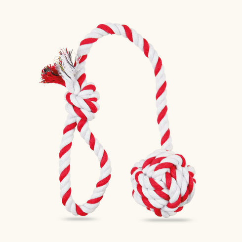 Trixie Playing Rope-Loop with Woven in Ball Toy for Dogs