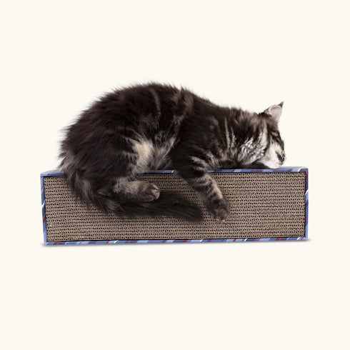 Trixie Scratching Cardboard Lying for Cats