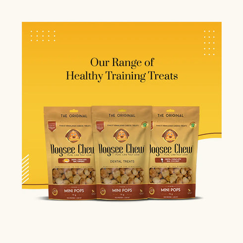 Dogsee Chew 100% Natural Yak Cheese Mini Pops Dog Treat