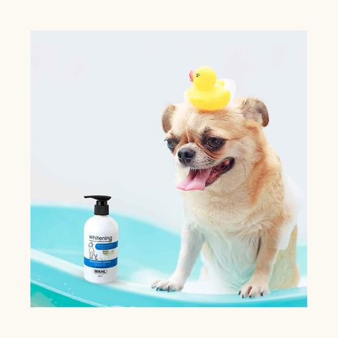 Wahl Whitening Concentrate Shampoo for Dogs
