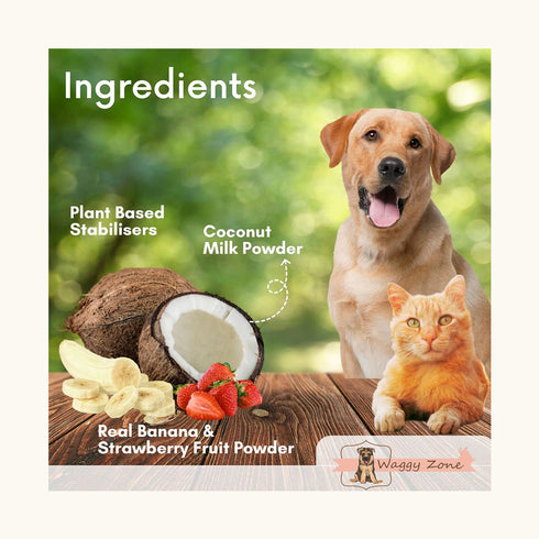 Waggy Zone Banberry Ice Cream for Dogs