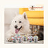 Waggy Zone Mangifera Ice Cream for Dogs