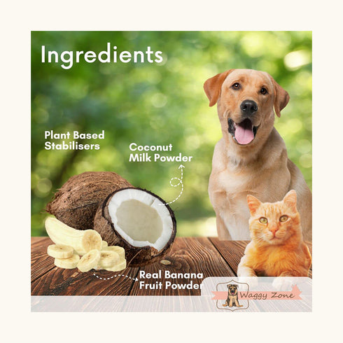 Waggy Zone Banana Ice Cream for Dogs