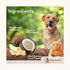 Waggy Zone Banana Ice Cream for Dogs