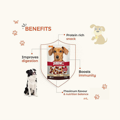 Gnawlers Yaowo Braid Chicken And Liver For Puppy Dog Treats (2.5 inch)