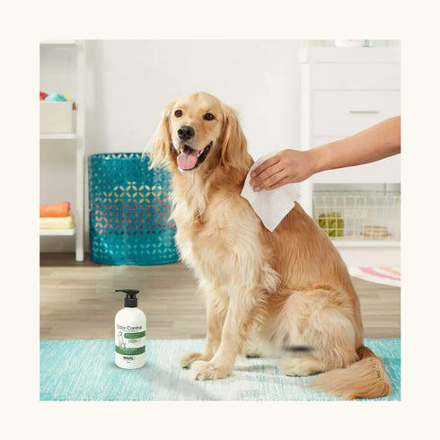 Wahl Odor Control Eucalyptus Spearmint Shampoo for Dogs