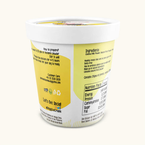 Waggy Zone Mangifera Ice Cream for Dogs