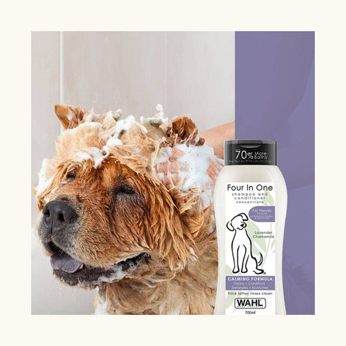 Wahl Four in One Lavender Chamomile Shampoo for Dogs