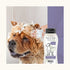 Wahl Four in One Lavender Chamomile Shampoo for Dogs