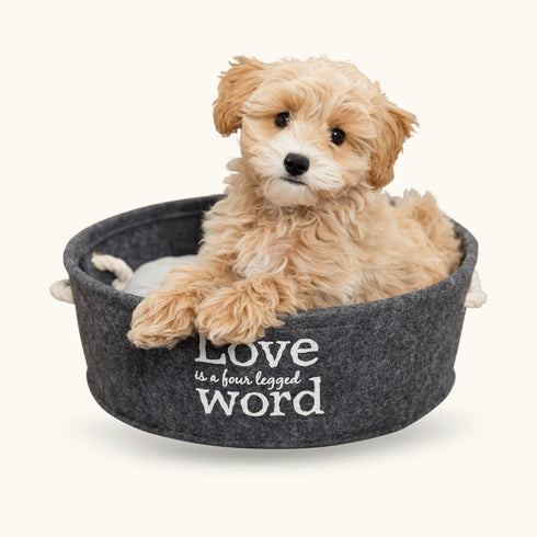 Trixie Lian Basket, Anthracite for Dogs and Cats