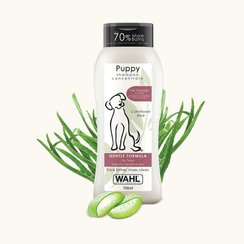 Wahl Puppy Cornflower Aloe Shampoo
