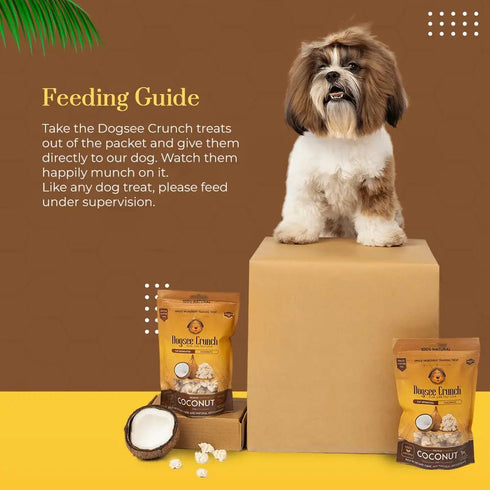 Dogsee Crunch Freeze Dried Coconut Dog Treats