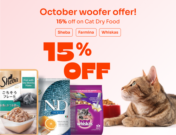 cat dry food 