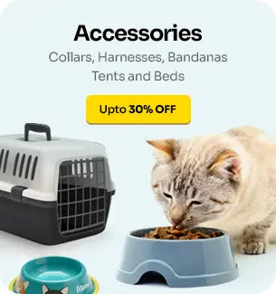 Cat-Small-access_large_1