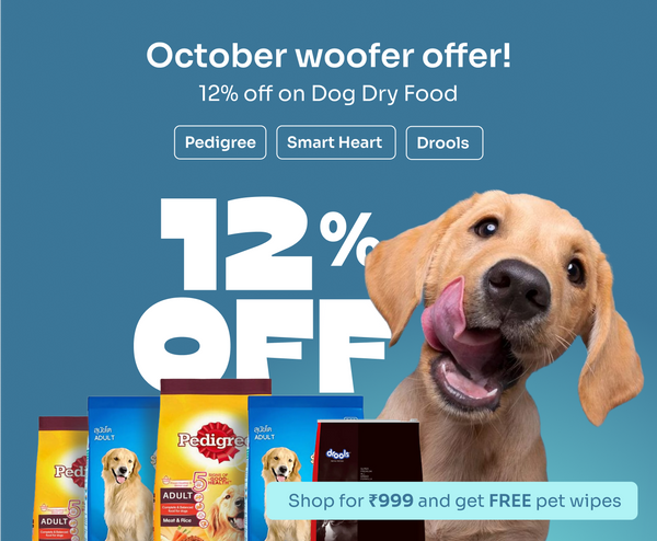 Dog_12_off_1