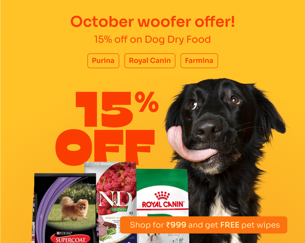 dog dry food 