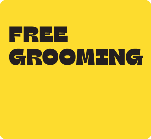 grooming